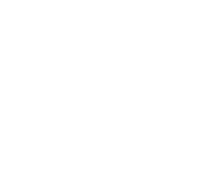 Vértice Político
